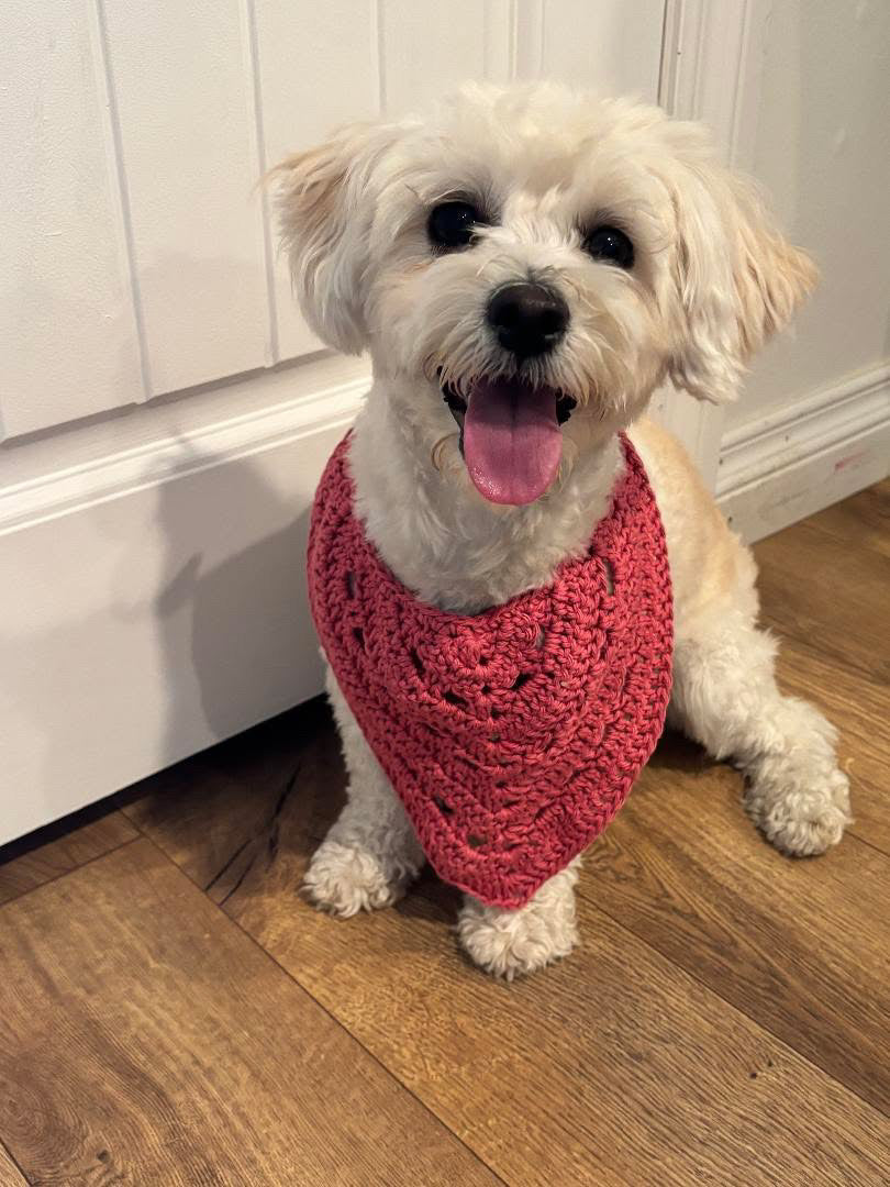 Pet Bandana