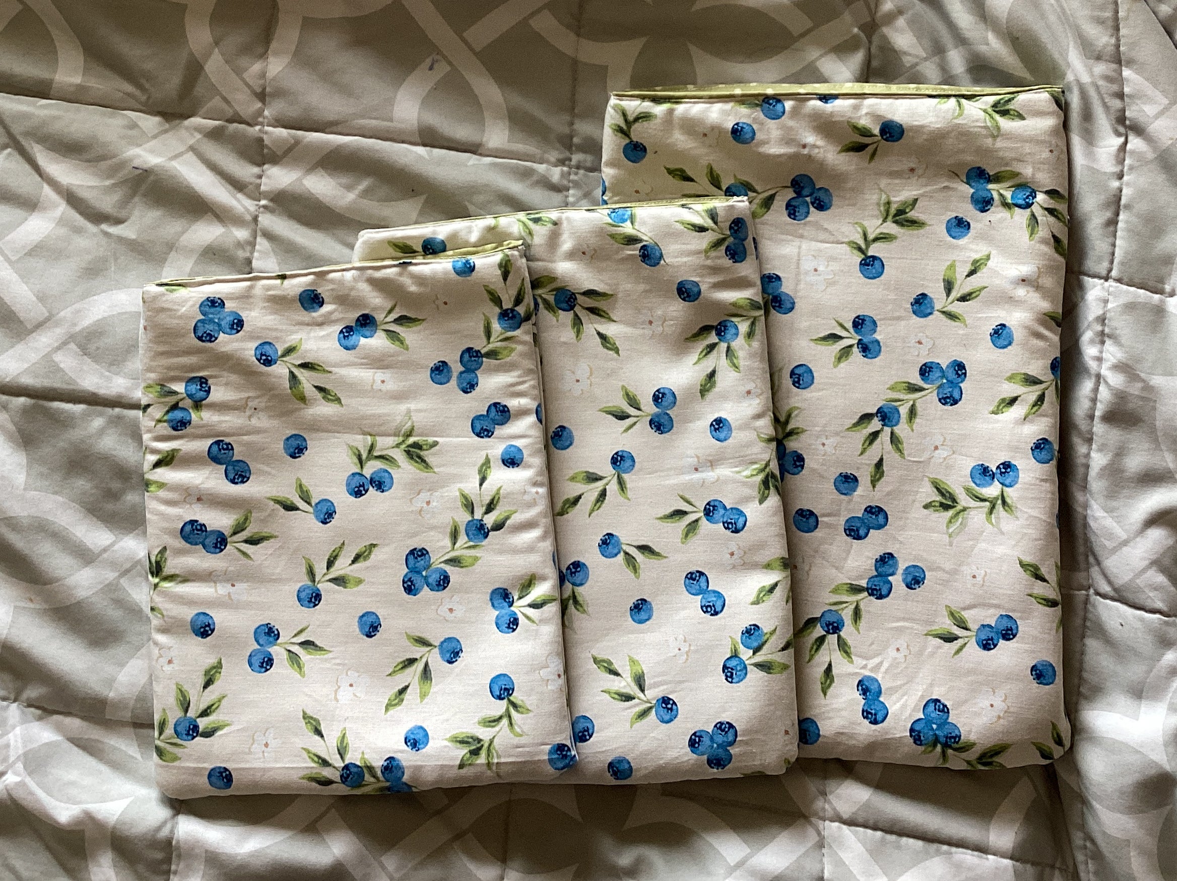 Blueberry Book/E-Reader Sleeve